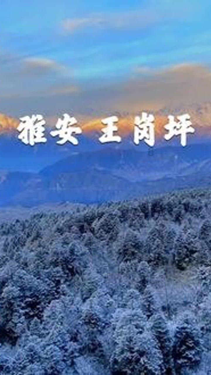 还是逆水寒手游玩的花!玩家:过年天天有人陪,天天不重样