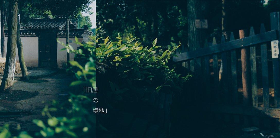 逛商场,忙大年