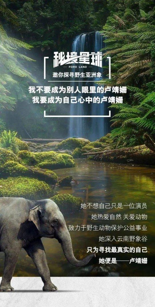 疯狂球球极限求生