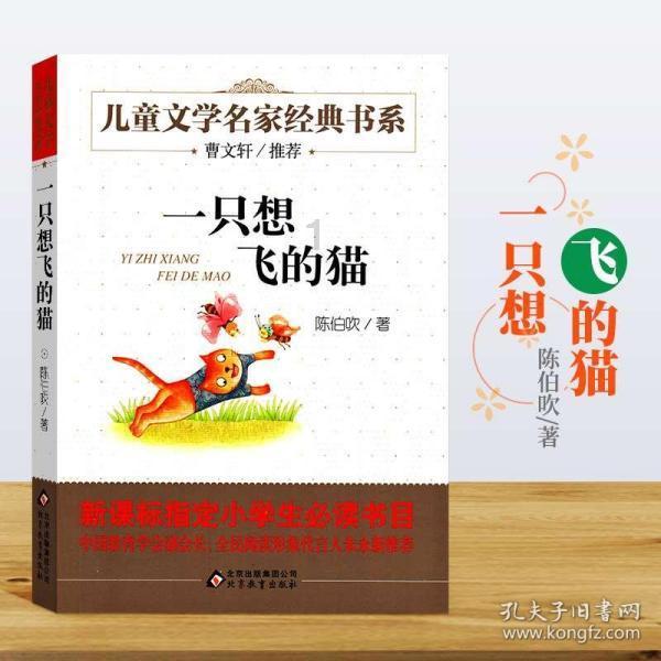 玩转商都丨《前世“金”生 见字如面 》贴金研学