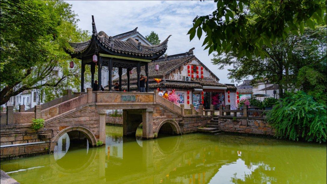 国王的坐骑